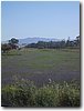 img_4522.jpg