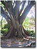 img_4550b.jpg