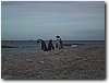 img_4622.jpg