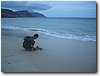 img_4629.jpg