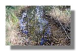 IMG_1584.JPG