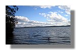 IMG_1585.JPG
