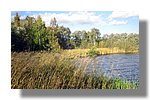 IMG_1588.JPG