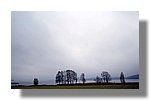 IMG_1614.JPG
