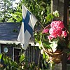IMG_4417.JPG