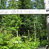 IMG_4433.JPG