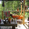 IMG_4437.JPG