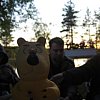 IMG_4463.JPG